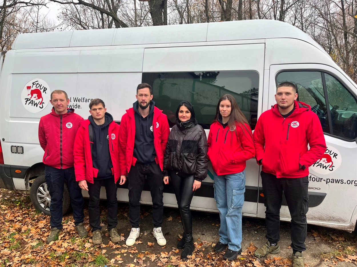У Барі стерилізували понад сотню тварин: працювала команда ТОВ «Чотири лапи Україна»