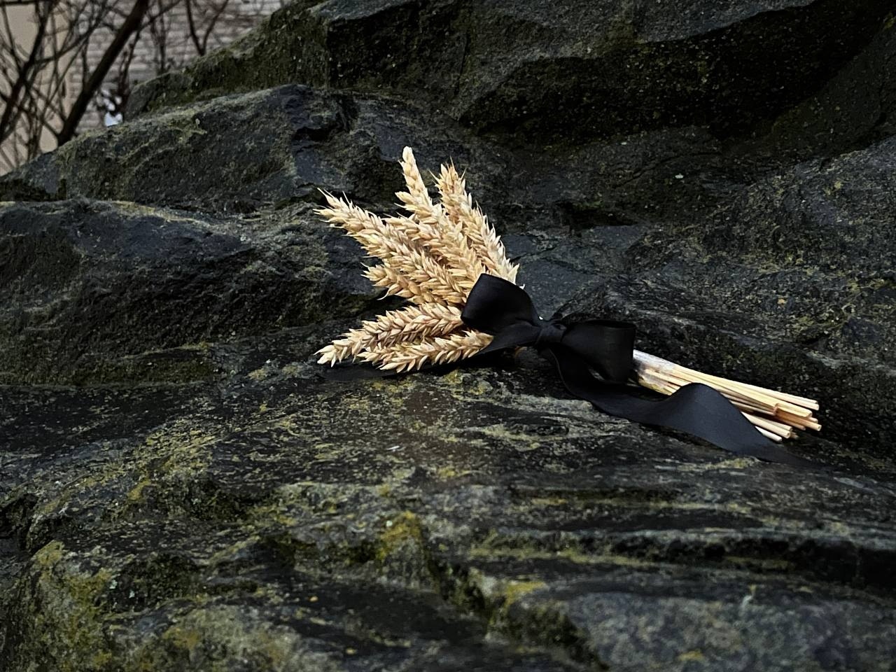 В м. Бар шанували пам’ять жертв Голодомору: мітинг-реквієм і лампадки пам’яті
