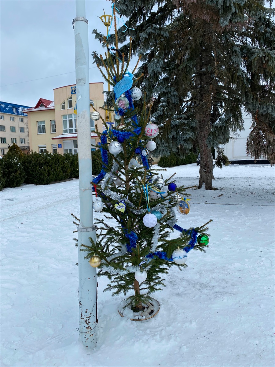 Зимовий Бар: добірка сніжних фото міста
