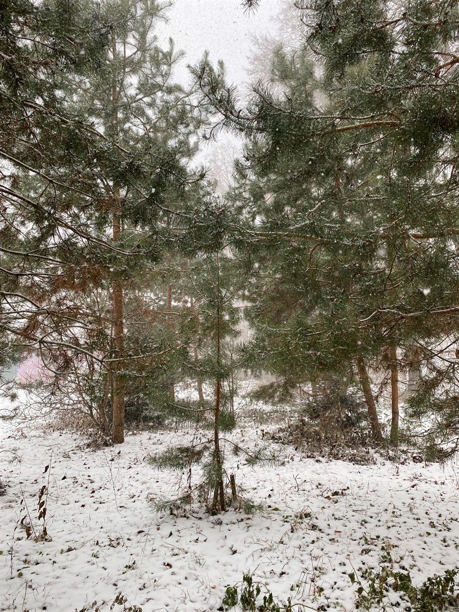 Зимовий Бар: добірка сніжних фото міста