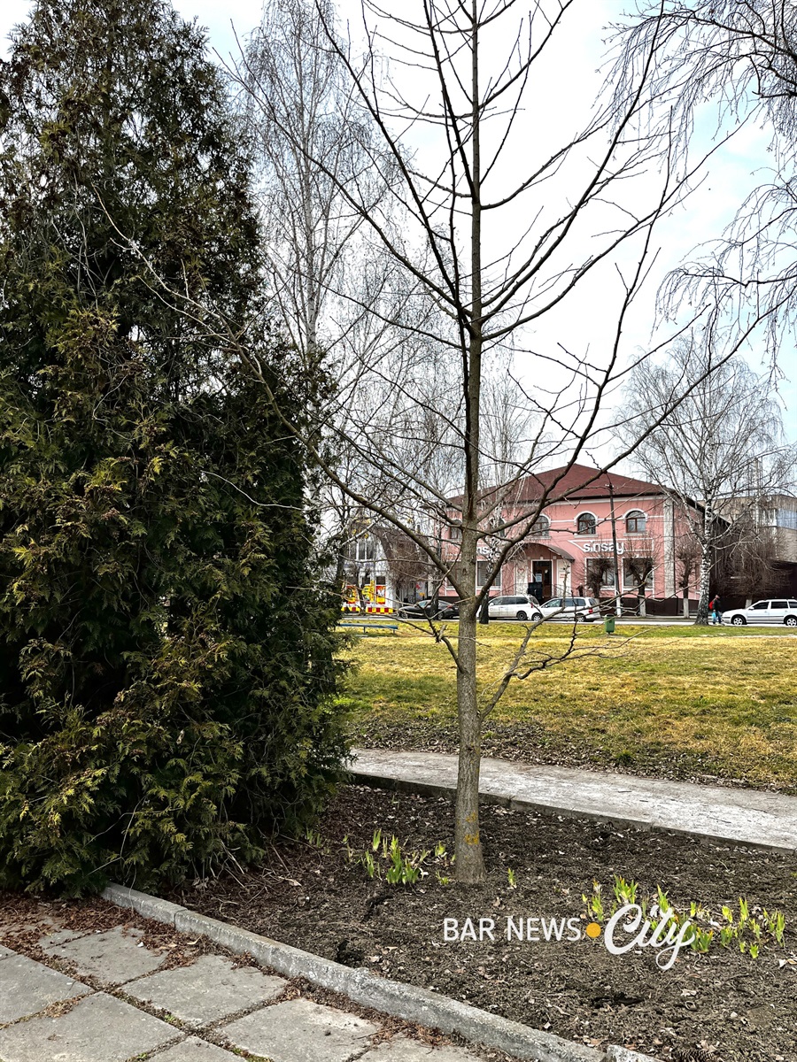 Місто Бар у березні 2026 року: як прокидається весна. Фото