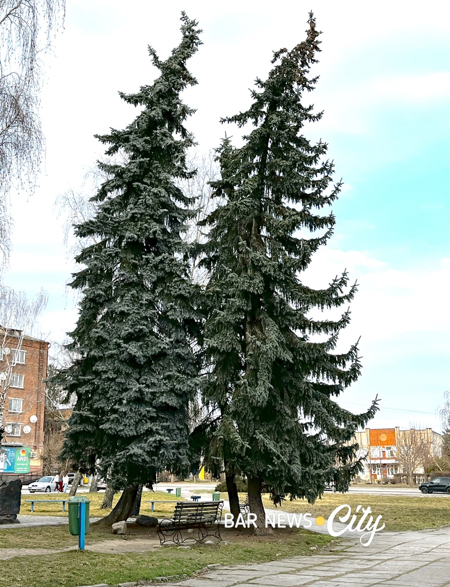 Місто Бар у березні 2026 року: як прокидається весна. Фото