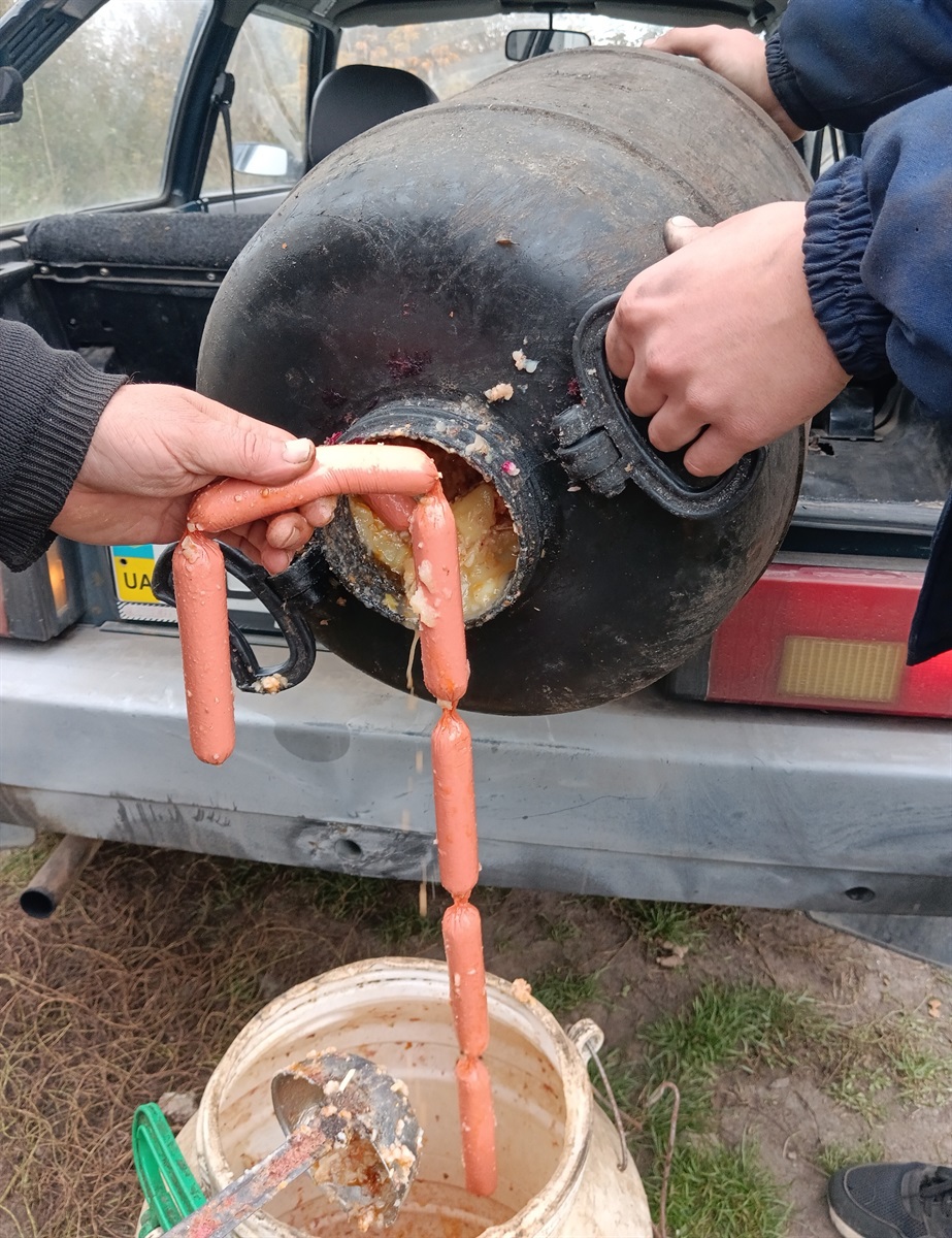 Барська міська рада відповіла на запит про вакцинацію тварин та притулок для собак