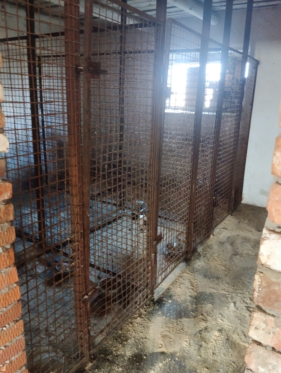 Барська міська рада відповіла на запит про вакцинацію тварин та притулок для собак